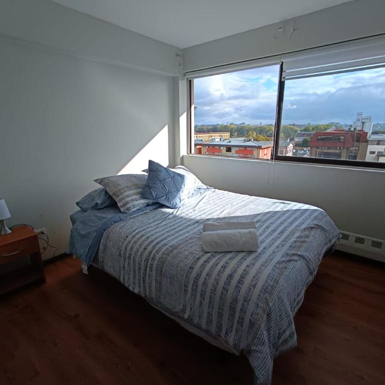 Nicolas Centro Osorno - Two-Bedroom Apartment - 6