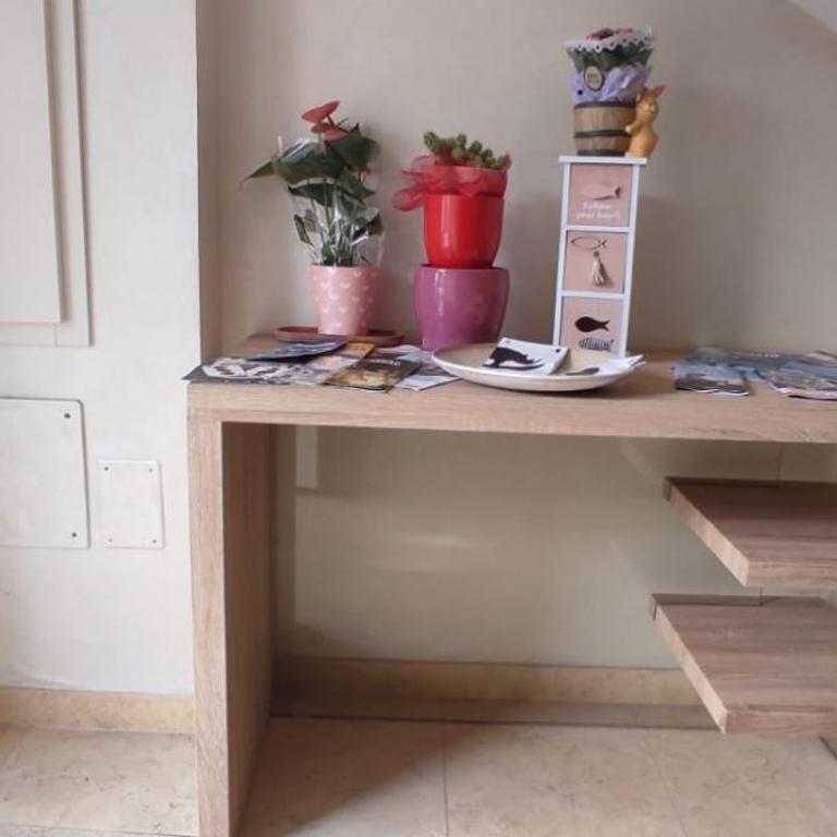 APPARTAMENTI RIMINI NEL CUORE - Appartamento con 2 Camere da Letto - 49