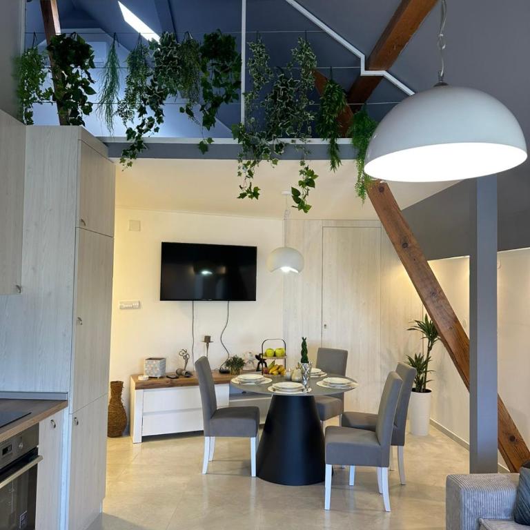 Iva Lux - Apartman sa 1 Spavaćom Sobom - 5