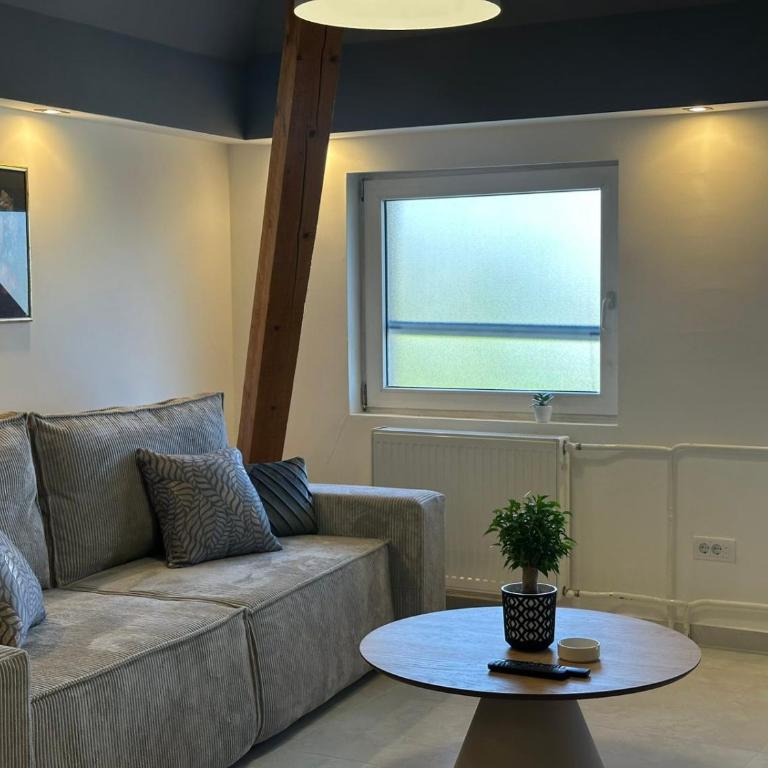 Iva Lux - Apartman sa 1 Spavaćom Sobom - 10