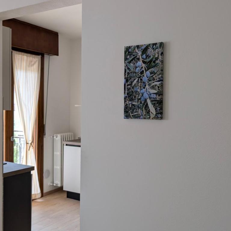 Lake Garda Renovated Apartment - Appartement 2 Chambres - 11