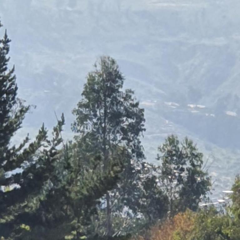 Torre Europa - Two-Bedroom Apartment - 16