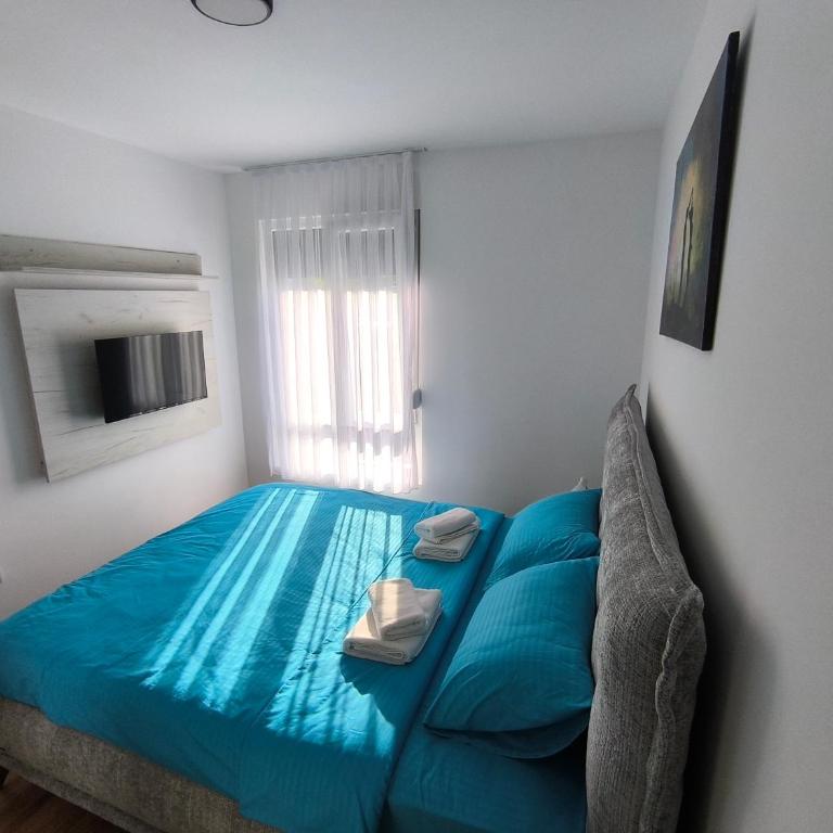 Apartman Vujanac - Apartman sa 1 Spavaćom Sobom - 11