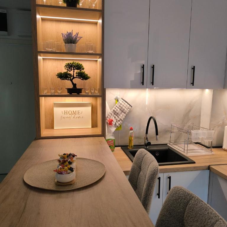 Apartman Vujanac - Apartman sa 1 Spavaćom Sobom - 20