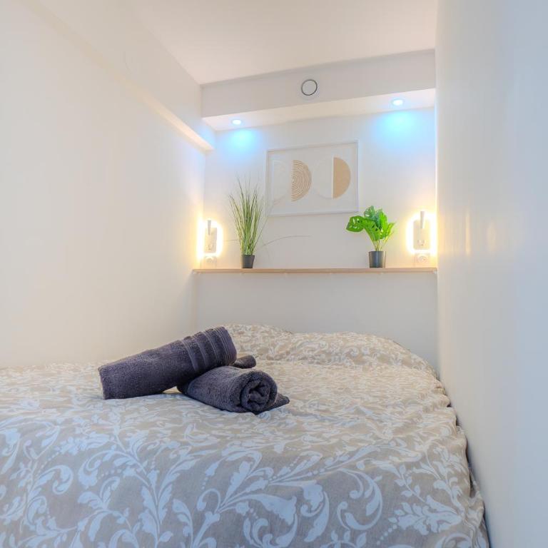 Le Chativesle - Centre - Erlon - Apartamento de 1 dormitorio - 4