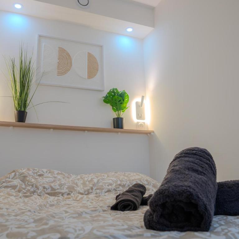 Le Chativesle - Centre - Erlon - Apartamento de 1 dormitorio - 11