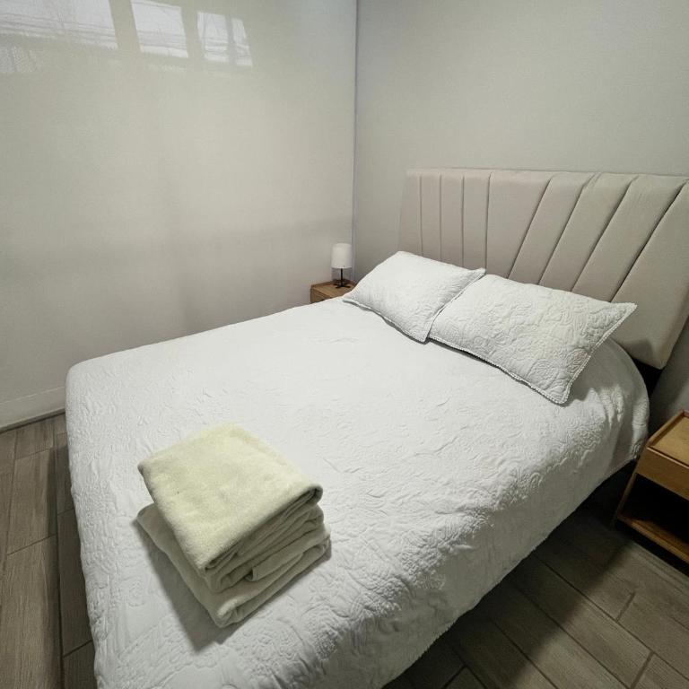 Departamento a pasos de Movistar Arena - Apartamento de 1 dormitorio - 13