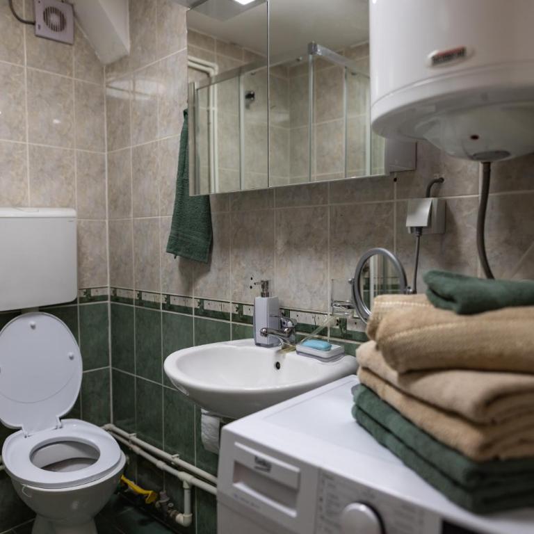 MaxLux Apartment - Apartman sa 1 Spavaćom Sobom - 9