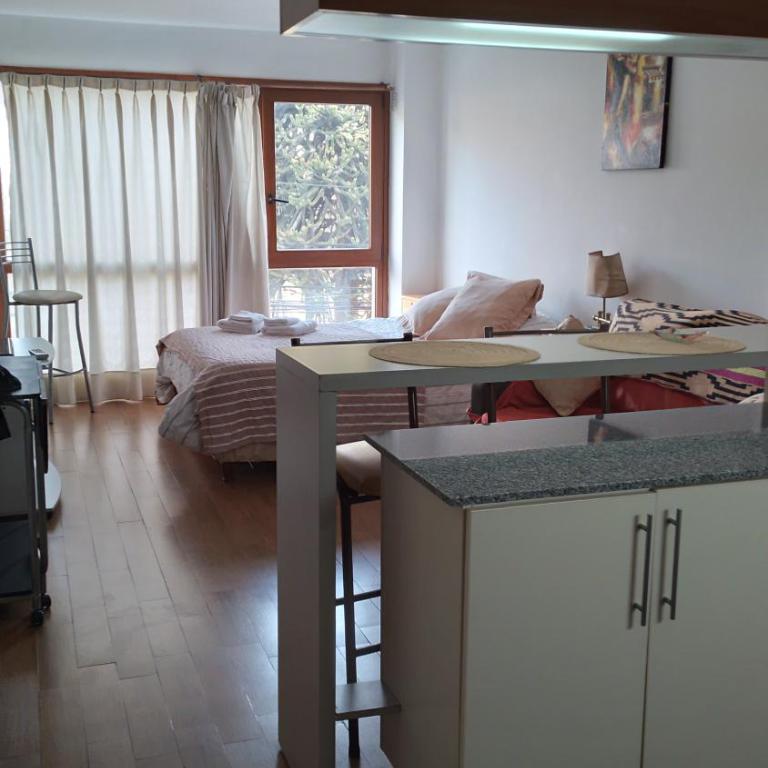 Departamento centro - Apartamento de 1 dormitorio - 8