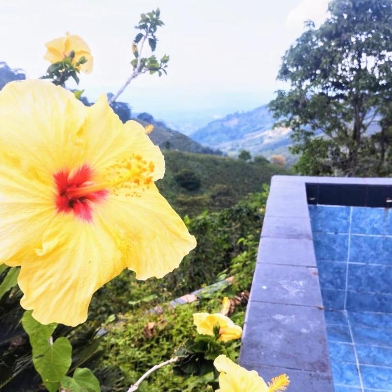 Cascada Sagrada - Superior Double or Twin Room with Mountain View - 2