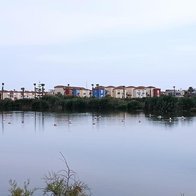 Apartamento Vera playa, Entre Sol y Salinas - Apartment - Erdgeschoss - 43