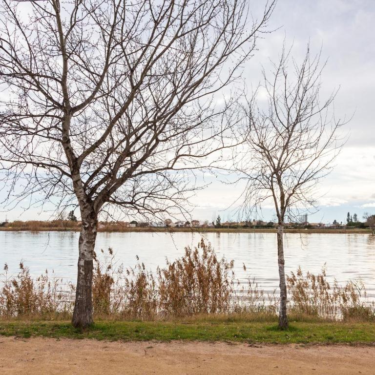 Nature hideaway in Deltebre for Families - Three-Bedroom Vacation Home - 20