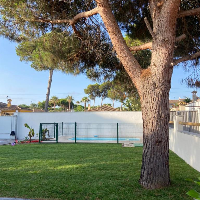 Mi Huerto, Casa con piscina, en la Barrosa - Casa - 9