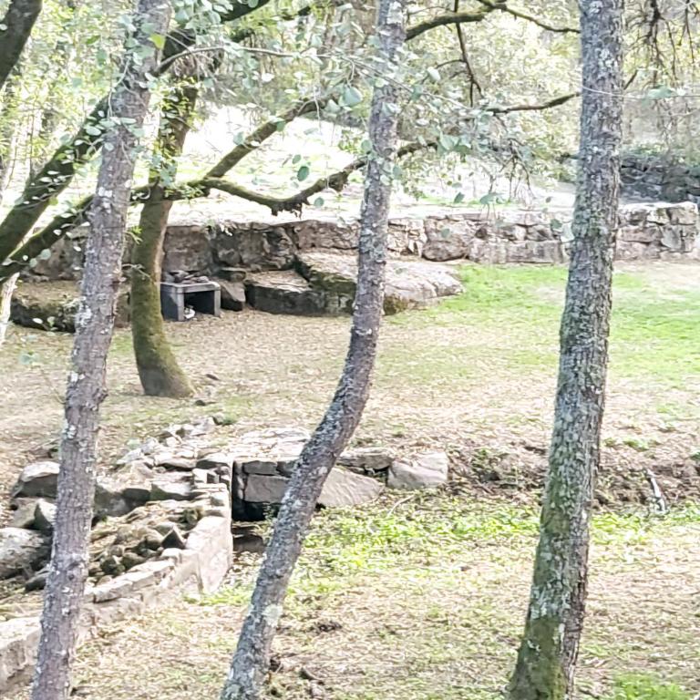 Buleiro - Casa de 3 dormitorios - 43