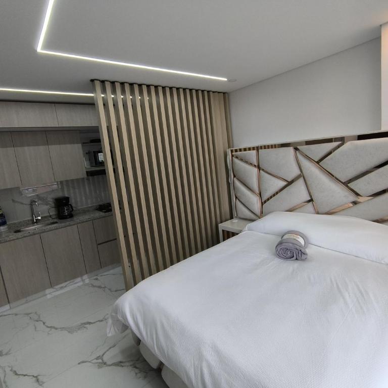 Apartaestudio amoblado, Edificio Asturiano - 403 - Apartamento de 1 dormitorio - 14
