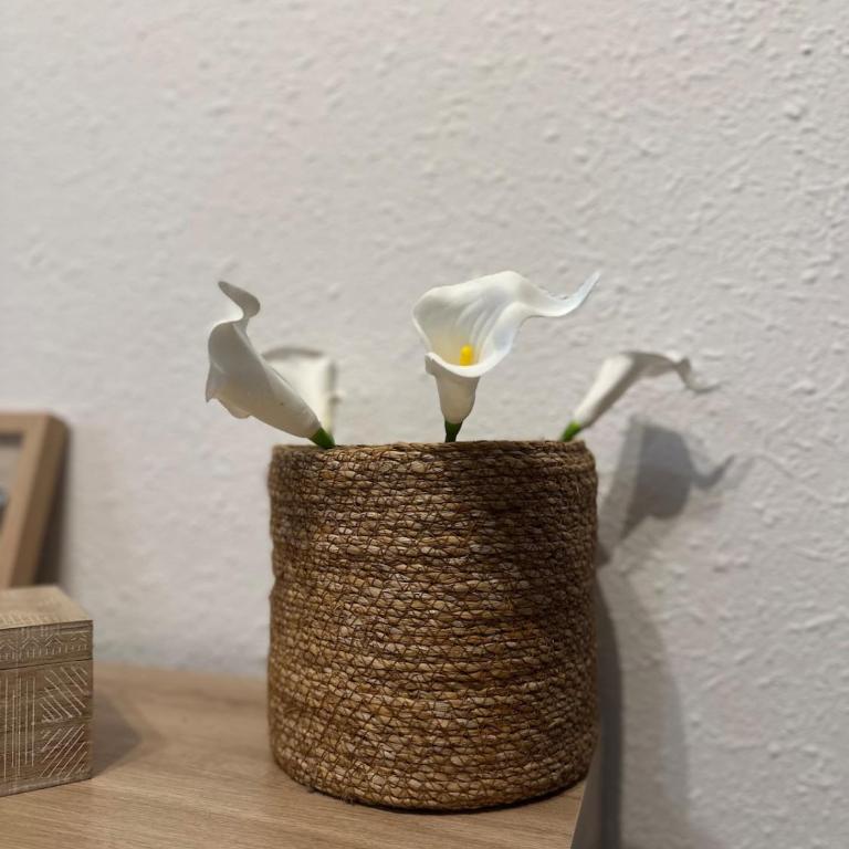 Madriu, hermoso studio a pie de pistas en Pas de la Casa - Apartment mit 1 Schlafzimmer - 12