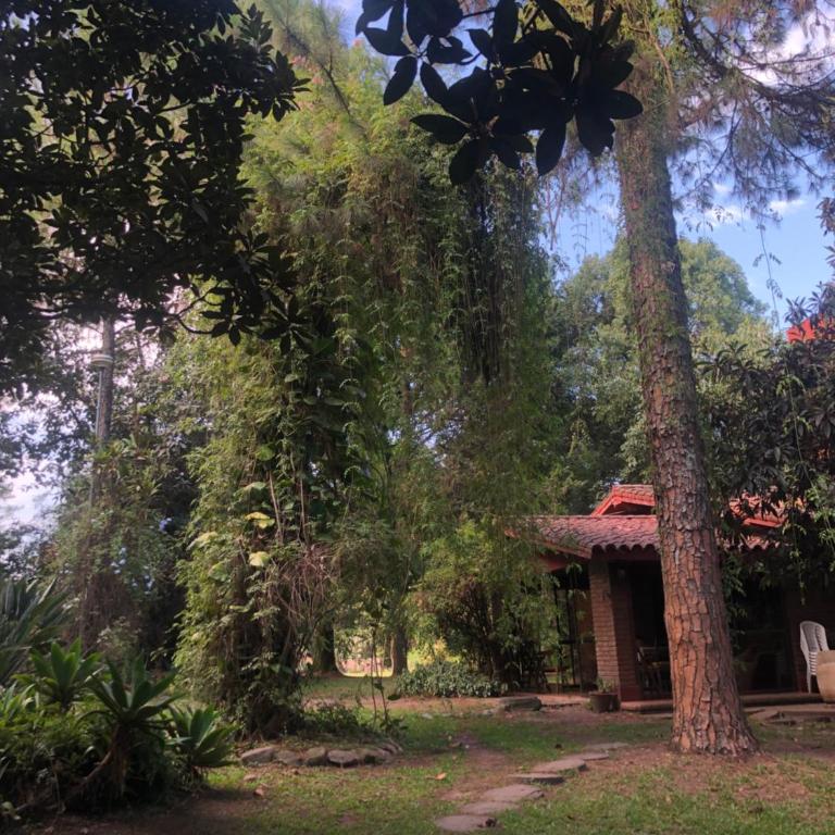 La Manquel - Casa y Yungas - Casa - 13