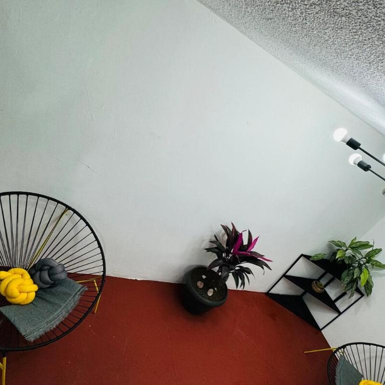 Departamento amplio y remodelado en Guadalajara - Apartamento de 3 dormitorios - 25