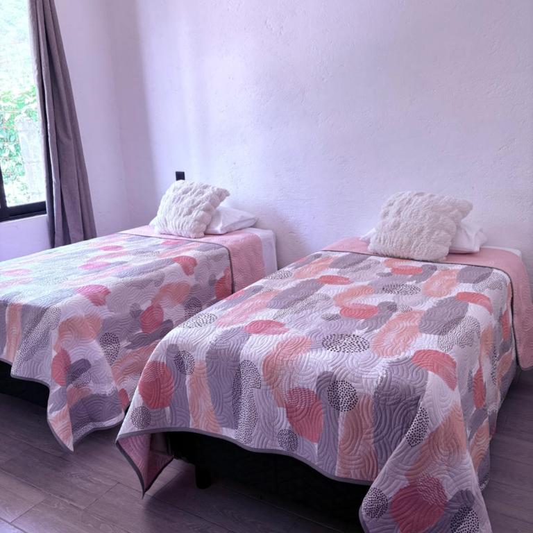 Casa Guaria Morada - Casa - 9