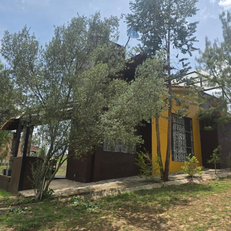 Cabaña Eucalipto 32 - Casa de 2 dormitorios - 1