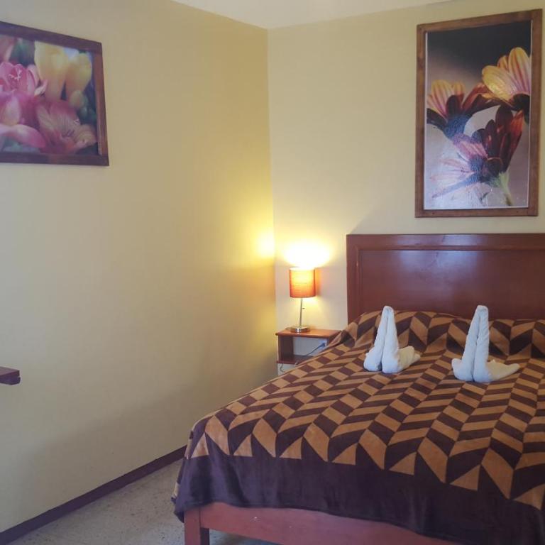 Hotel Florida Oaxaca - Habitación Doble con cama doble - 7