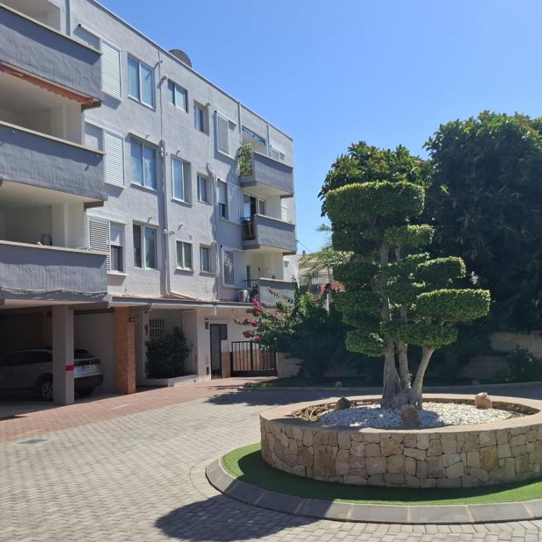 Ancora Pla - Casa - 2