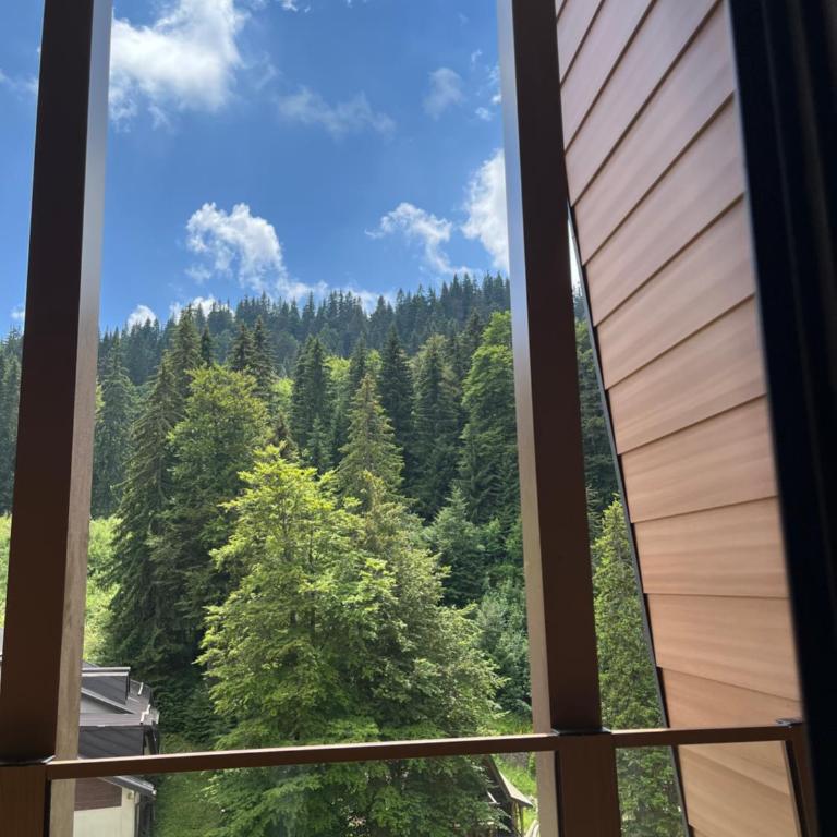 Apartman Jahorina Mont 501 - Apartman sa 1 Spavaćom Sobom - 18