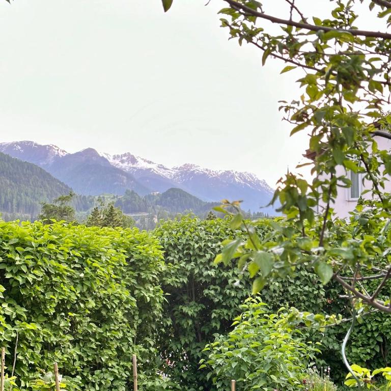 Apartment Blick Lischana- ein Traum mit Bergpanorama, Sauna, Hottub - Apartment mit 1 Schlafzimmer - 14