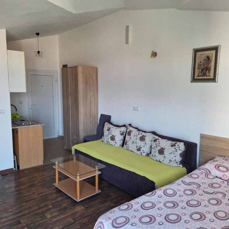 Studio apartman Milica - Apartman sa Balkonom - 3