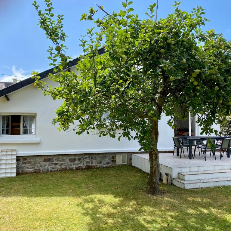 L'Oasis, Maison avec jardin au Cabellou Concarneau - Maison 2 Chambres - 23