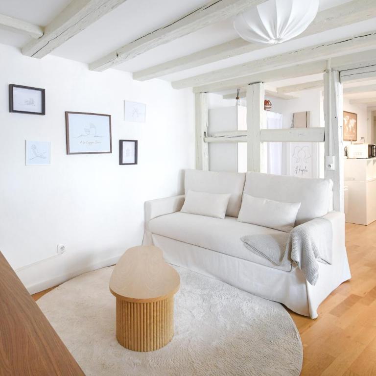Cigogne Dorée - Strasbourg Centre Historique - Two-Bedroom Apartment - 10