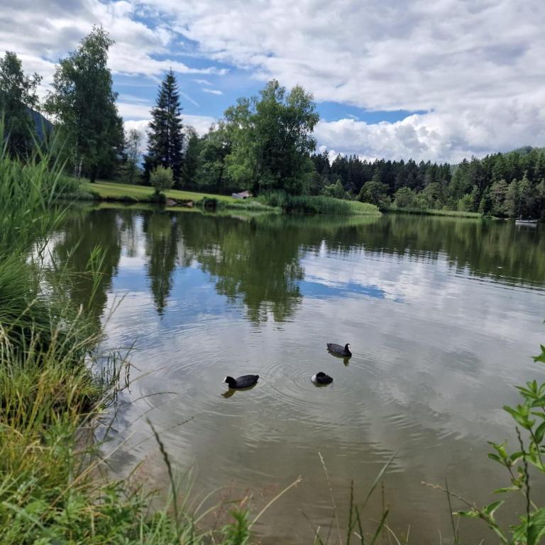 RELAX Seefeld Apartman - Studio-Apartment - 66