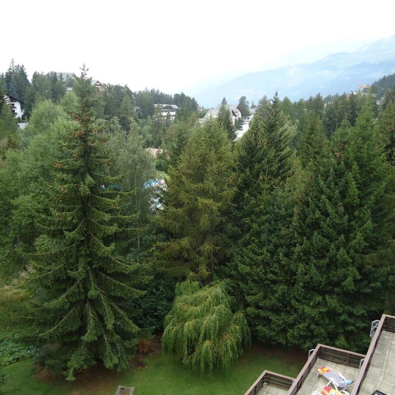 Apartment Humagne - Crans-Montana Center - Appartement 1 Chambre avec Terrasse et Vue sur la Montagne - 26