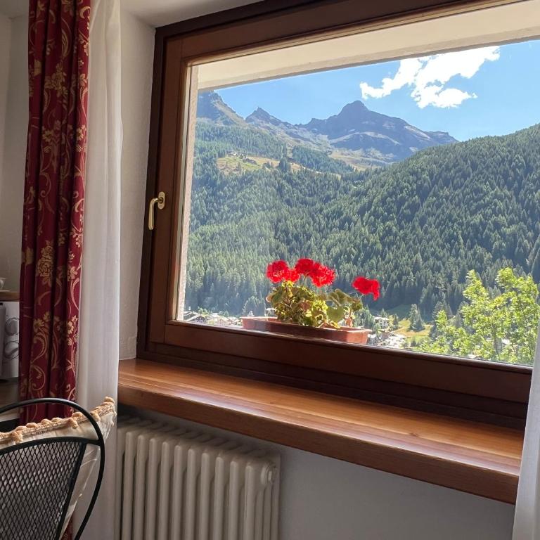 Affittacamere Buenavista Guest House - Camera Singola con Vista Montagna - 5