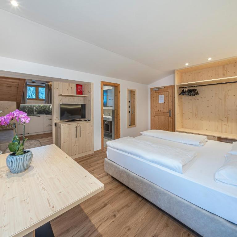 Garni Hotel and Apartments Wildbach - Appartamento Monolocale - 4