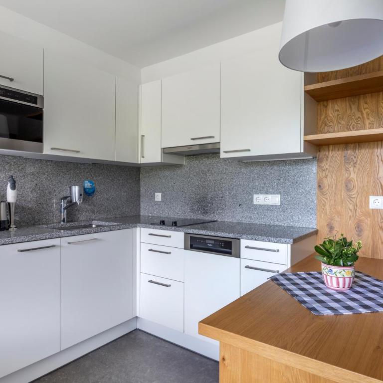 Alpine Club Resort - Studio-Apartment - 4
