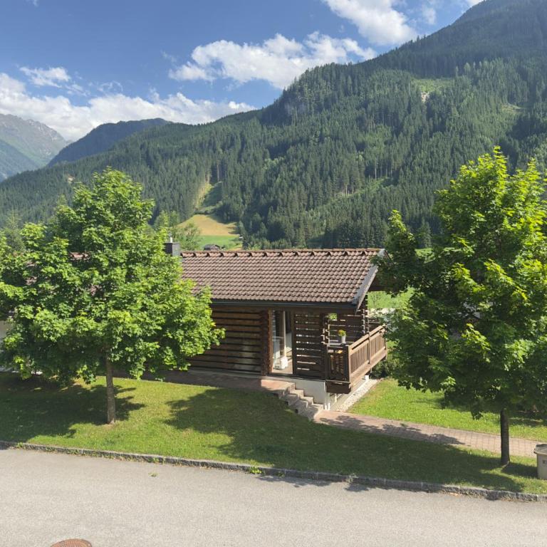 Schöneben Chalet Schneerose - Maison de Vacances - 17