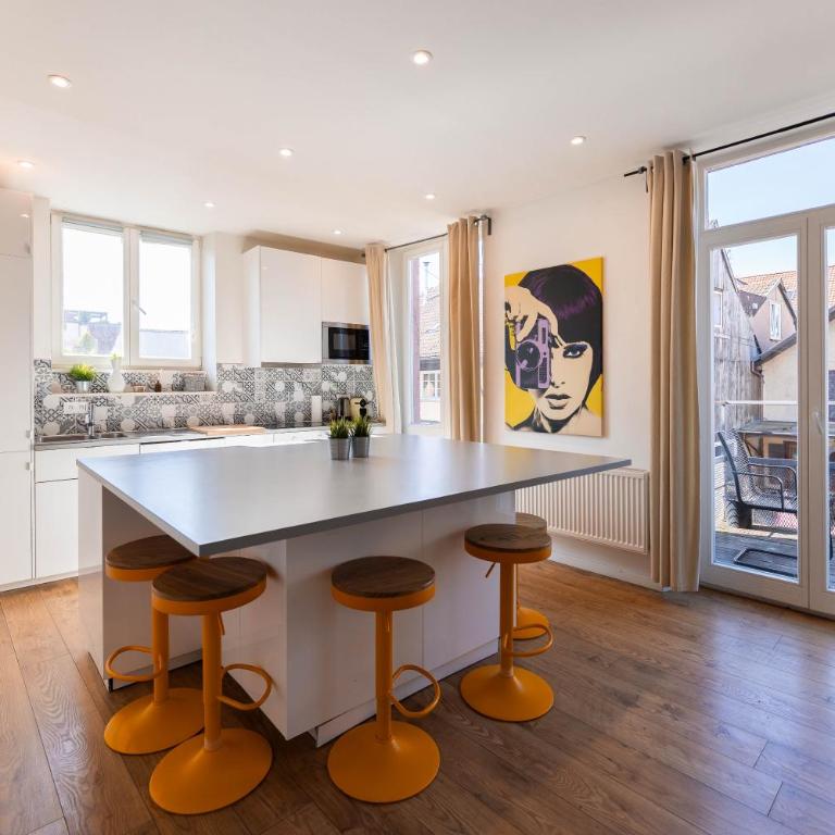 Colmar Terrace - BELLE ALSACE 4 - BookingAlsace - Appartement 2 Chambres - 1