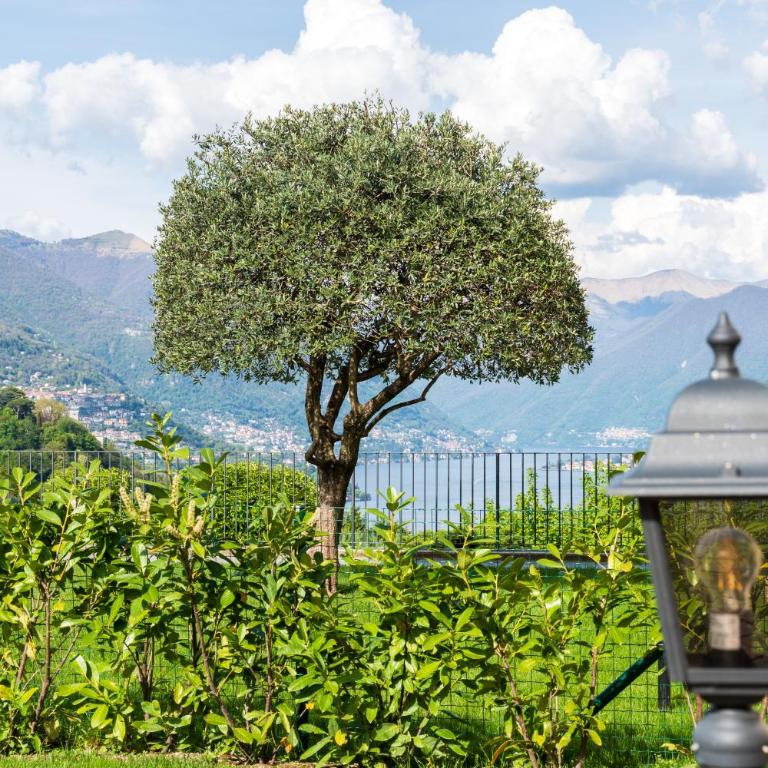 Villa Maderni Breathtaking - by MyHomeInComo - Appartamento con 1 Camera da Letto - 8