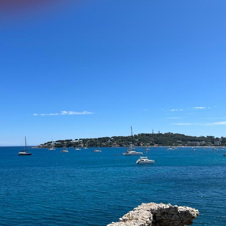 Les Océanides Resort - Studio - Vue sur Mer - 2