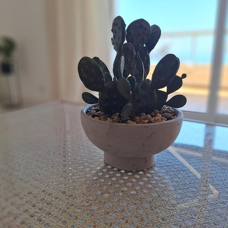 APARTAMENTO Los CISNES - One-Bedroom Apartment - 22