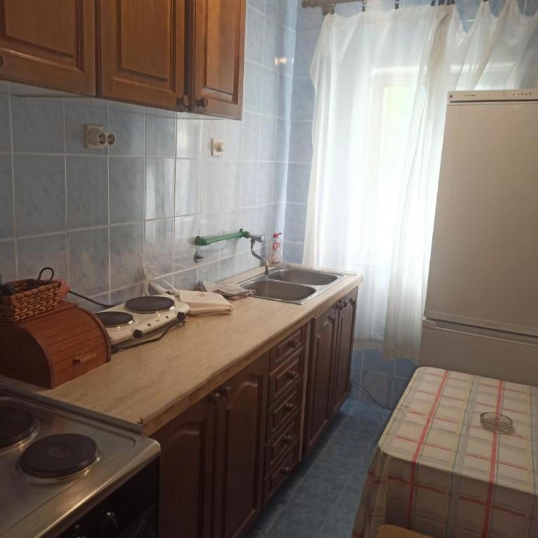 Villa Zorka - Apartman sa 2 Spavaće Sobe - 1