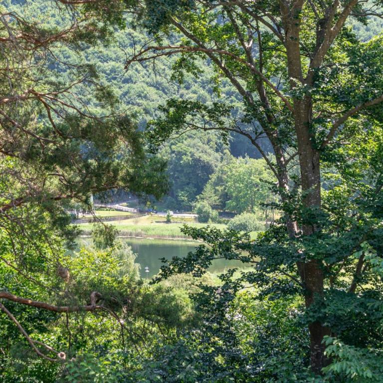 Dimora al Pizzo, Madruzzo Ospitar - Appartamento con 2 Camere da Letto e Vista Lago - 28