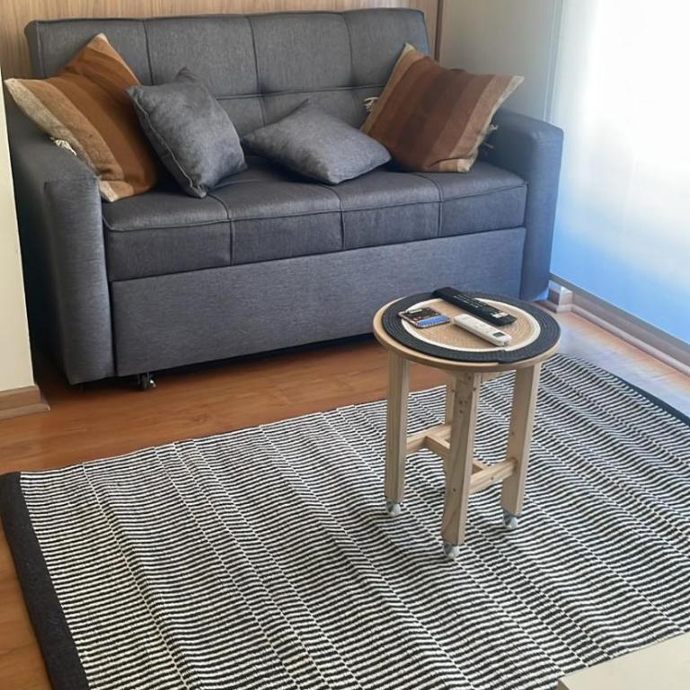 Dpto Marcoleta - One-Bedroom Apartment - 4