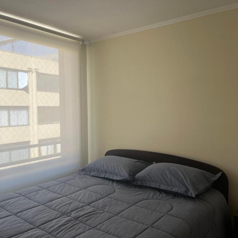 Dpto Marcoleta - One-Bedroom Apartment - 6