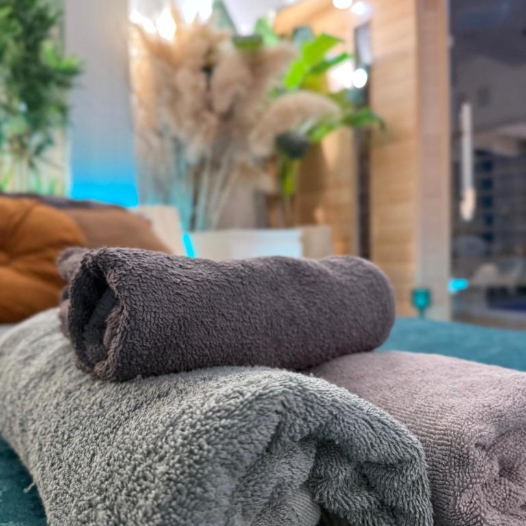 AMA Esclusive SPA Bologna - One-Bedroom Apartment - 27