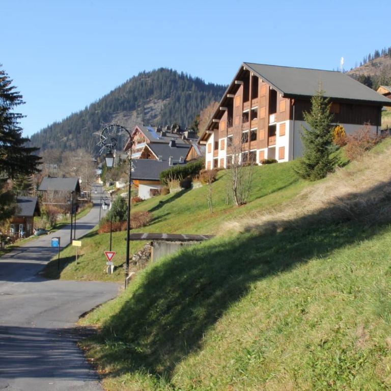 Charmant 3 pièces à Châtel avec balcon, proche pistes et navettes, pour 6 personnes - FR-1-676-62 - Apartment - 14