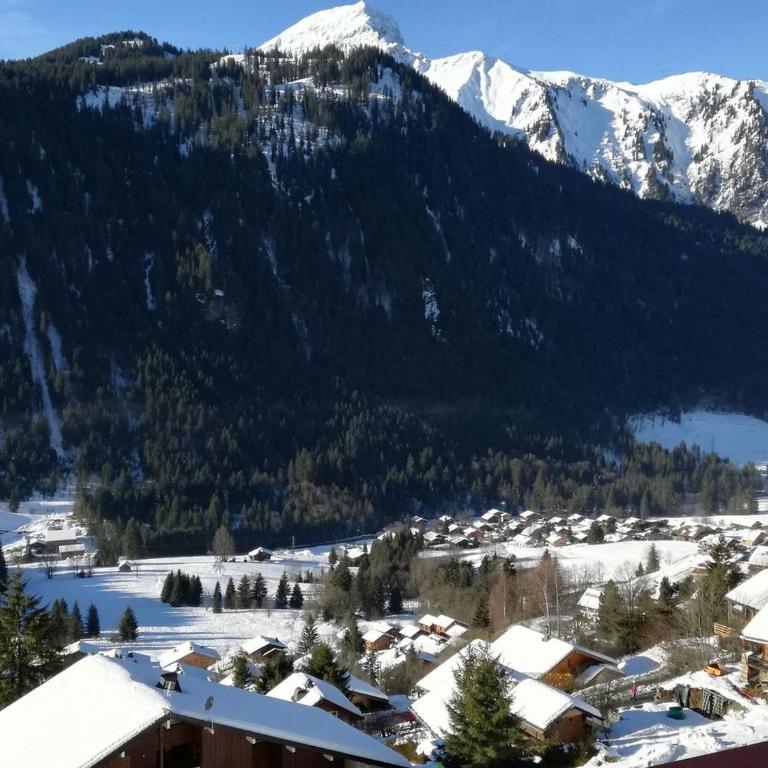 Chalet chaleureux à Châtel - Idéal 6 pers, 3 pièces, proche télésiège, WIFI, balcon sud, garage - FR-1-676-21 - Apartamento - 18