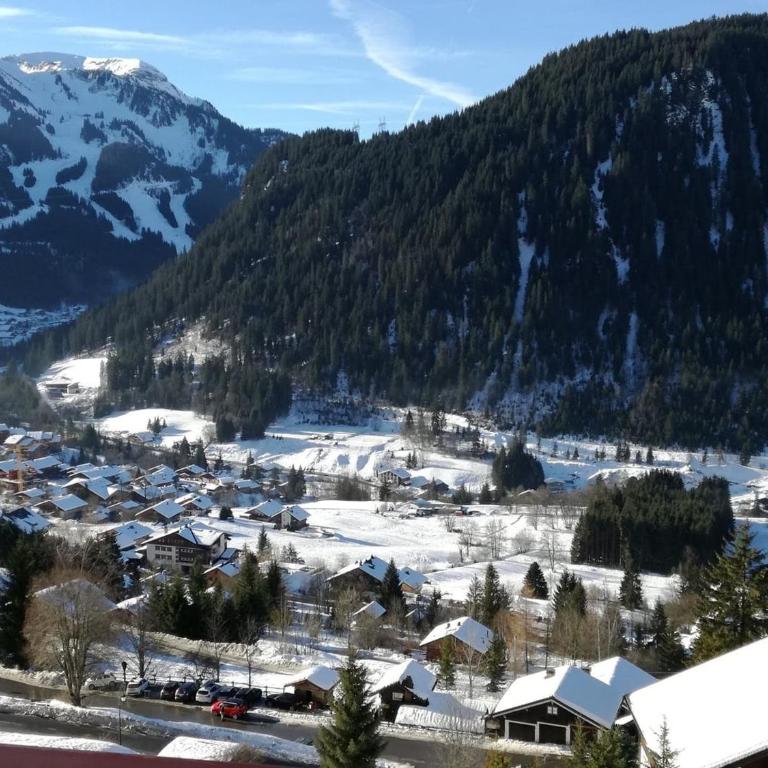 Chalet chaleureux à Châtel - Idéal 6 pers, 3 pièces, proche télésiège, WIFI, balcon sud, garage - FR-1-676-21 - Apartamento - 19
