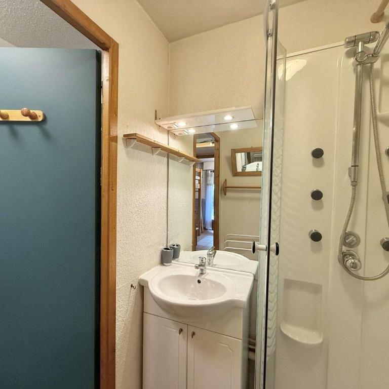 Appartement cosy à 500m du centre, 5 pers, terrasse, parking, casier à ski - Praz-sur-Arly - Appartement 1 Chambre - 15